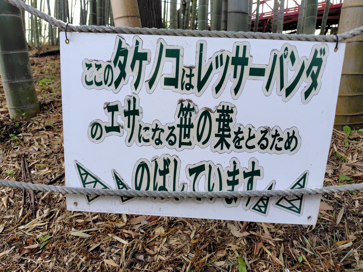 紫ジョリィ tweet media