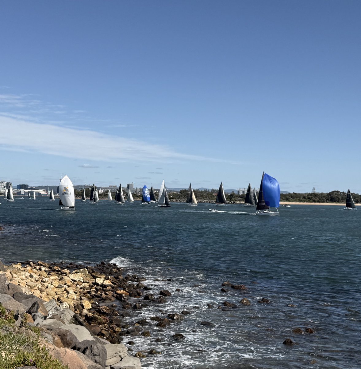 David Shoebridge tweet media