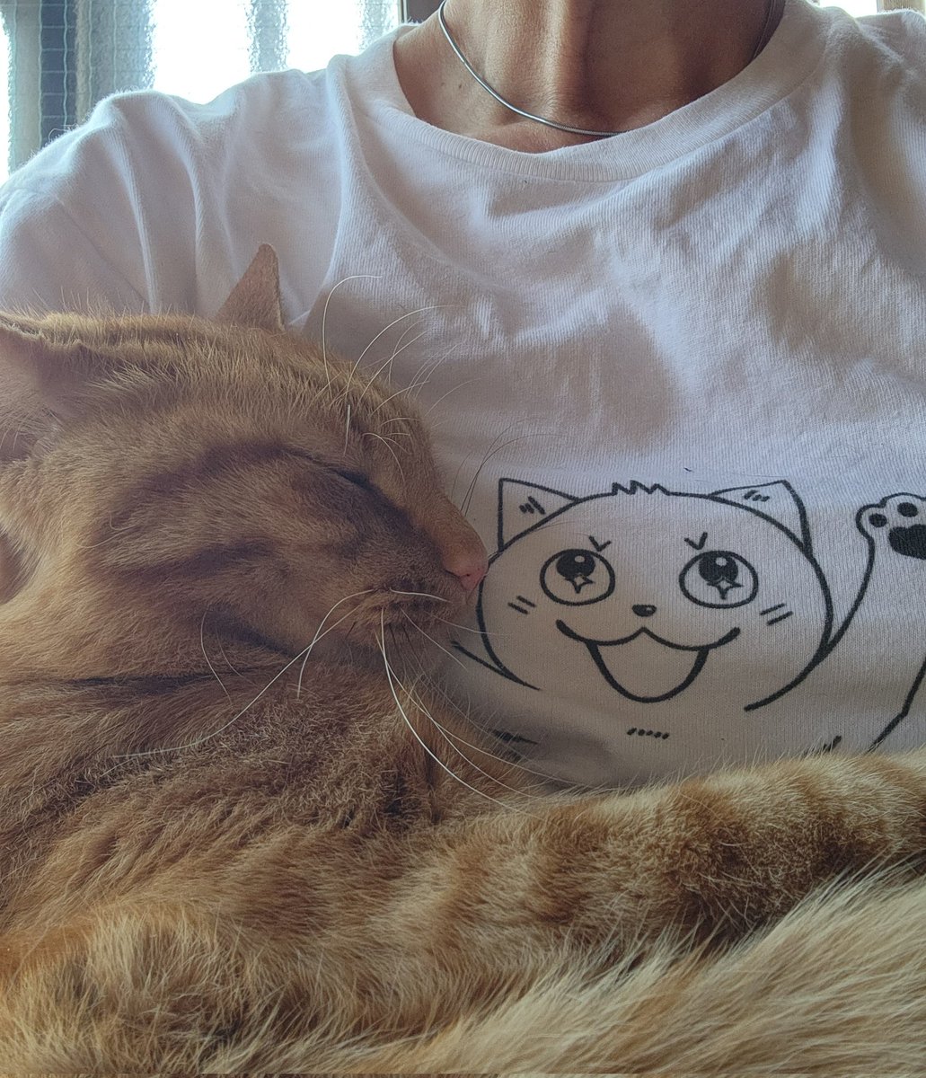 おあやややおや tweet media