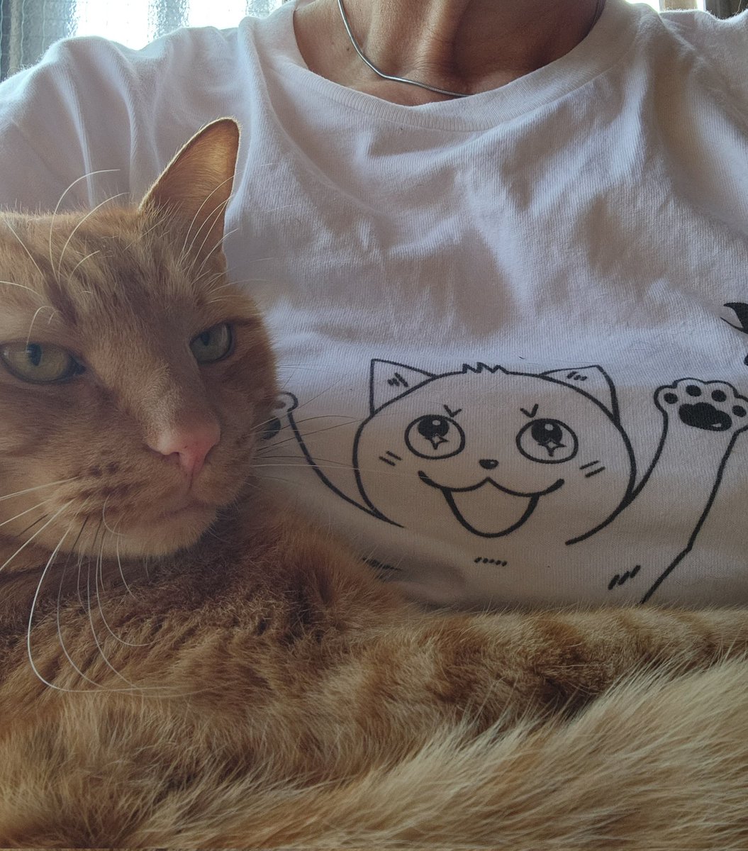 おあやややおや tweet media