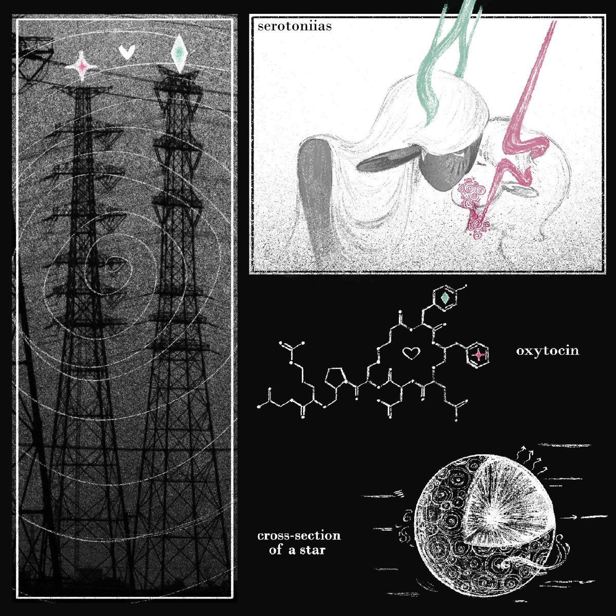 mara ✦ tweet media