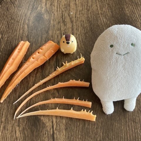 水のいとこ tweet media