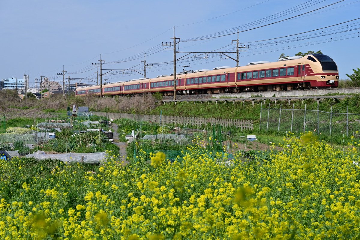 tmr20032006's tweet photo. 9025M 特急絶景ネモフィラ青梅号 E653系 K70編成
せっかくヒガハスまで来たのでヒガウラで73レを撮影に来たのですが、これはノーマークでした。
特急あづまと併結…(ry https://t.co/DFXm0Ii5UH