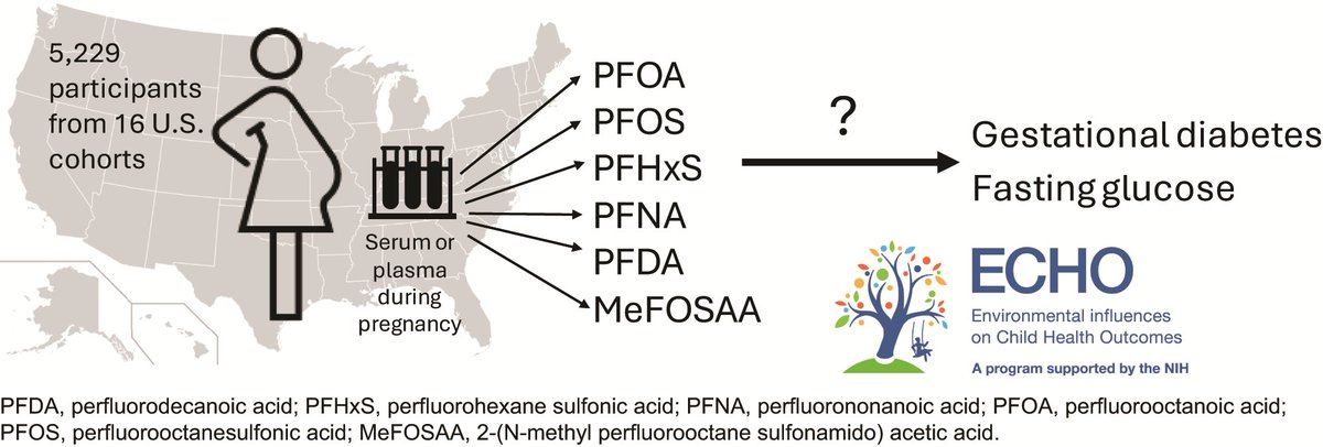 DiabetesCareADA's tweet photo. In a large, pooled sample of US pregnant women from the NIH ECHO Cohort Consortium, greater concentrations of PFAS were not associated with higher prevalence of GDM. #DCare #Article

Read here ➡️ https://t.co/2fx6uo9qac

@AmDiabetesAssn @ADA_DiabetesPro @ADA_Pubs https://t.co/0KZvFU62eM