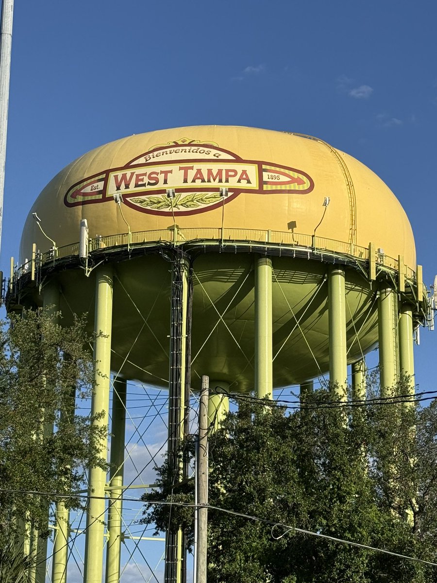 FFMonthly's tweet image. I let the banana peels and jungle ropes screams get the best of me at the record store today. Honestly 1 of the 2 good Danzig records that I like outside proper Misfits: Some rockin riffs ⚔️🤌🤘#Tampa #Bikin #Excursions #Danzig #Vinyl
