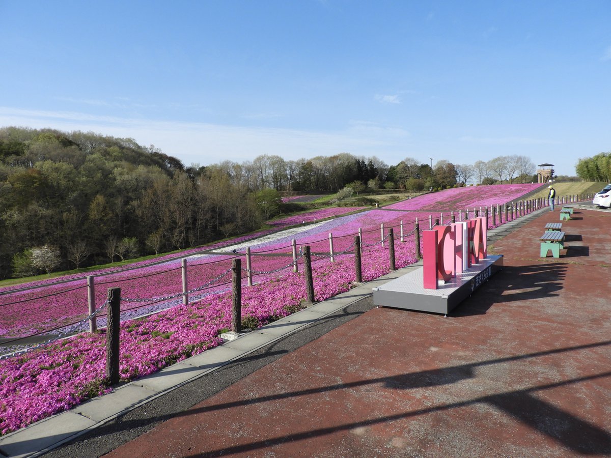 市貝町観光協会 tweet media