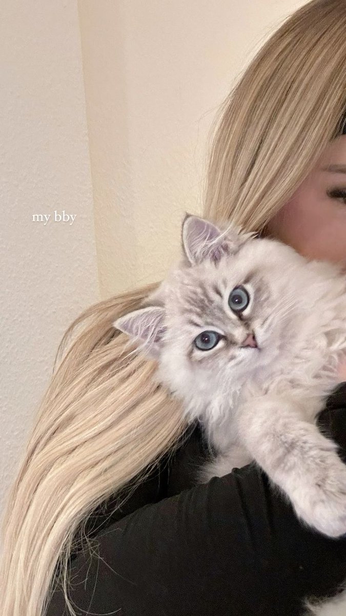 Sobre o dia 09/04, também conhecido como meu aniversário 🩷