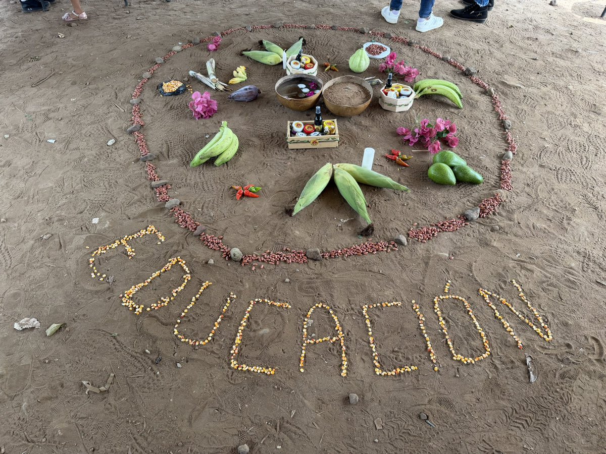 MMtcc36831's tweet photo. Con diálogo y participación, líderes campesinos avanzan en propuestas para fortalecer la educación rural. Junto a la Viceministra Maritza Molina, seguimos construyendo educación campesina para fortalecer los Territorios Campesinos Agroalimentarios. #DerechoALaEducación https://t.co/89hidiEVxX