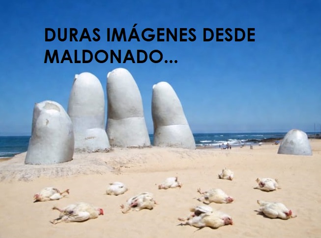 EL FANTASMA DE LA PATERNIDAD 1891 tweet media