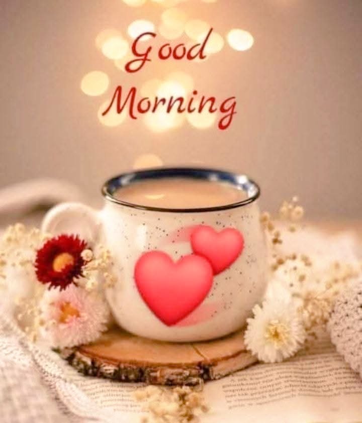 kamla419647's tweet image. Good Morning Friends 🏵️🪅🍁

Today is a day full of joy and energy.

#Goodmorning 🌹🌅🌹
