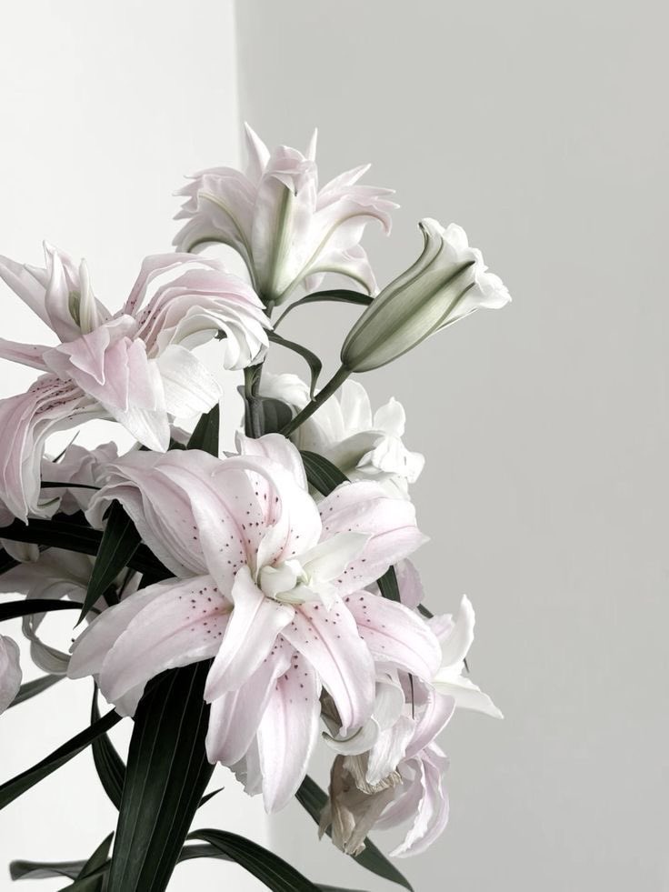 𓆩♱𓆪 tweet media