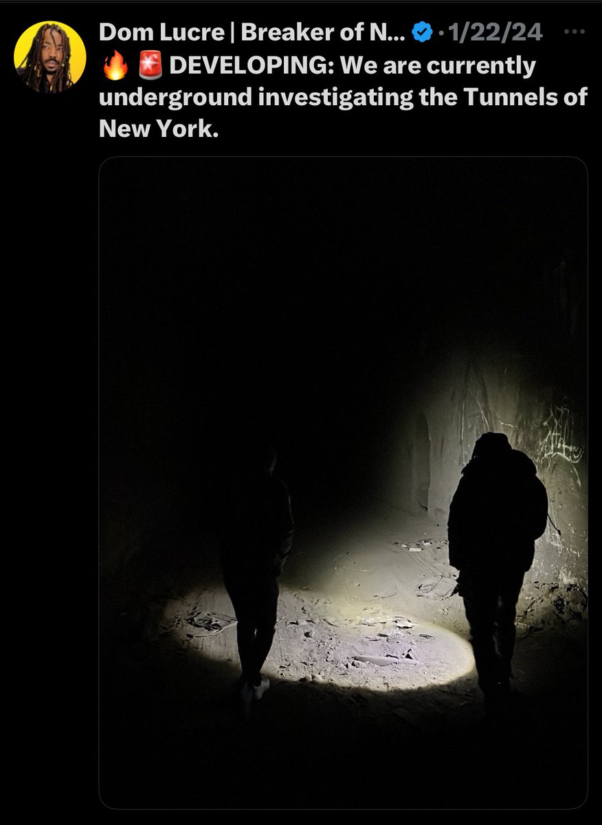 Henri Fjord tweet media