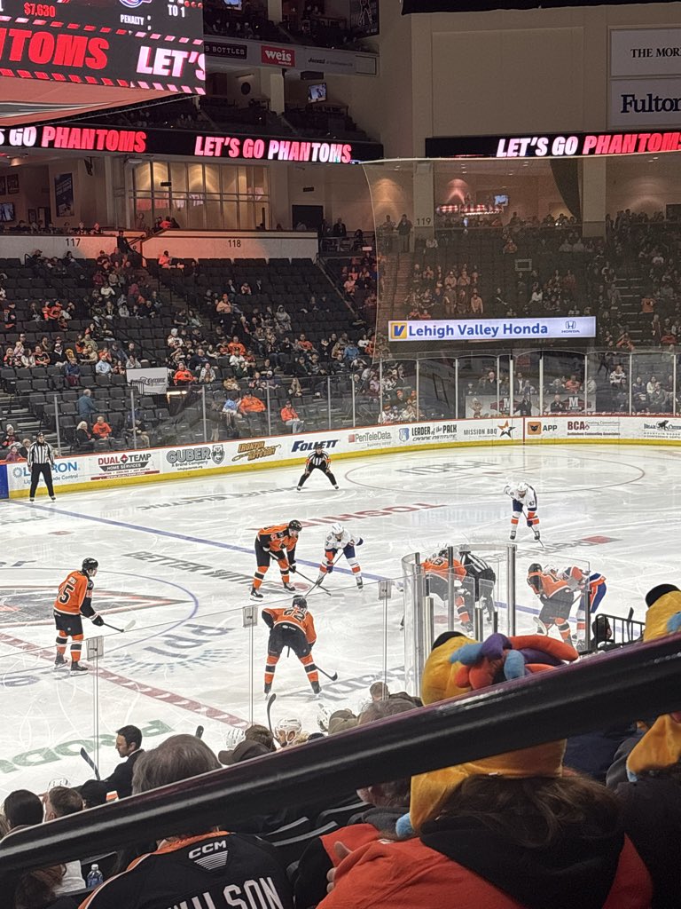 Revisthedog tweet media