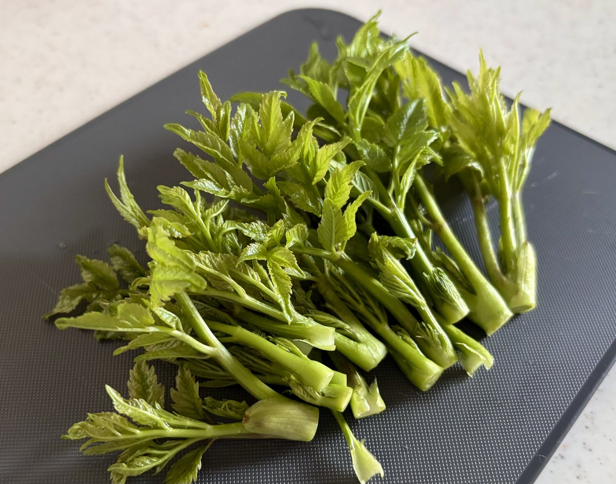 オフィス ジャパニケーション/安城市 tweet media