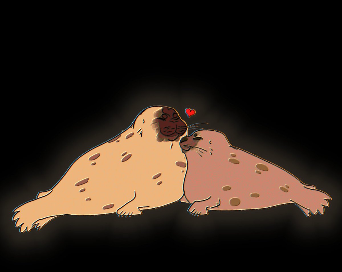 Niko the Seal tweet media