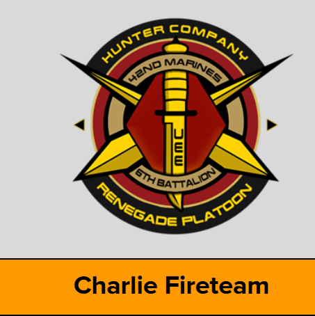 HeyItsBWags's tweet image. Tonights activities #StarCitizen #Milsim #DangerSnek