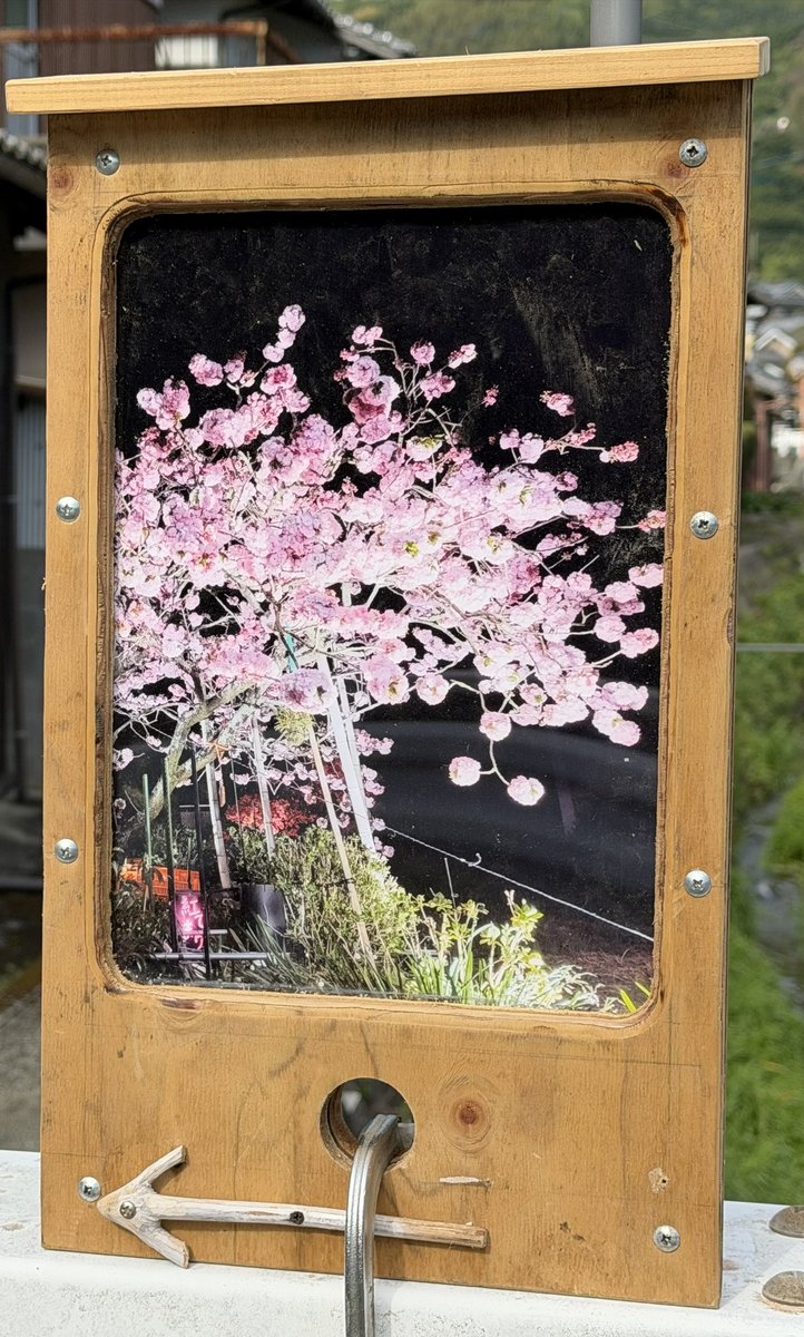 華 🐝𓂃𓈒𓏸︎︎︎︎ tweet media