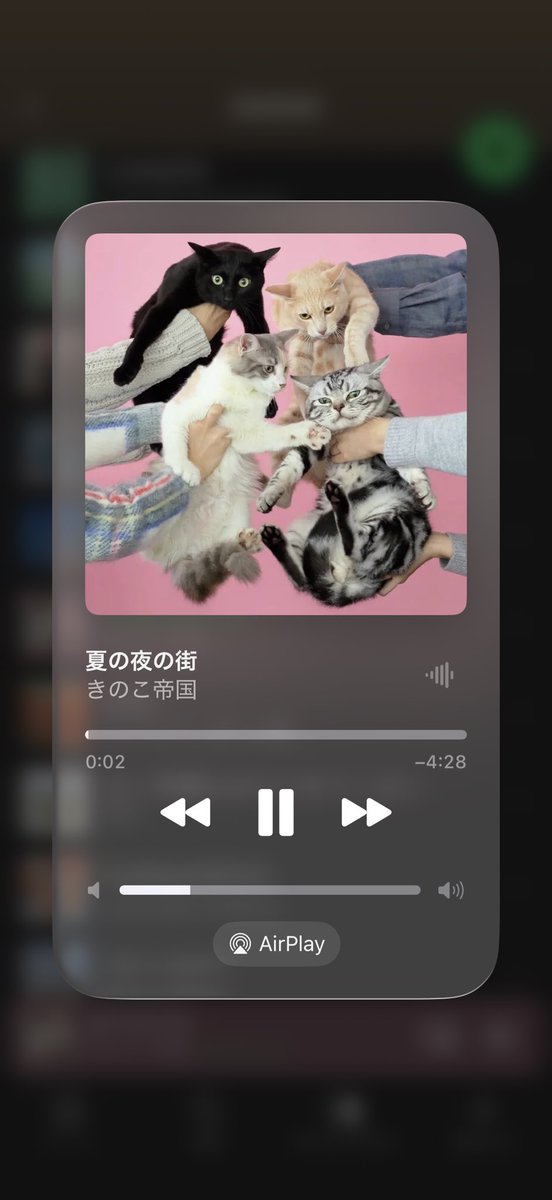 𝘀𝘂𝗸𝗮𝗶めいと tweet media