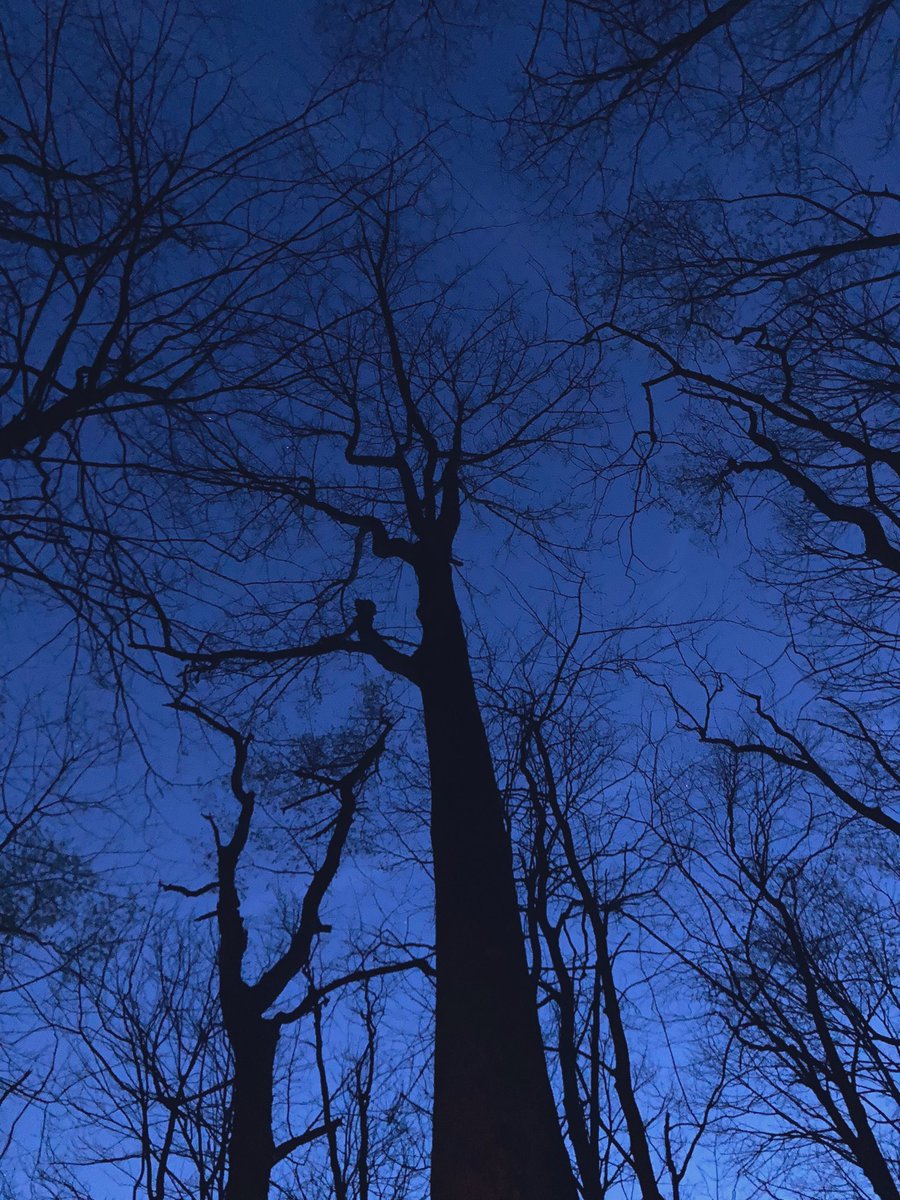 .kil #quietisviolent tweet media