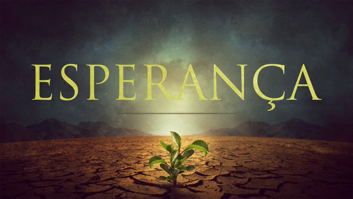 FURIA Tatu tweet media