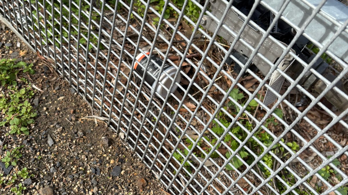 MostLivableCity tweet media