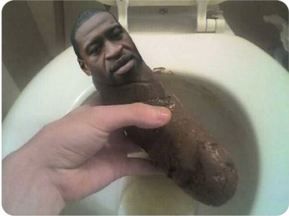 JC Halestorm tweet media