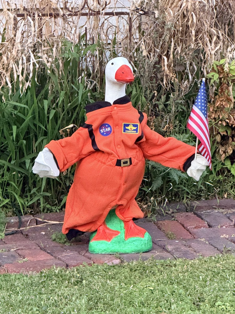 Space Chick Jen 👩🏻🚀 tweet media