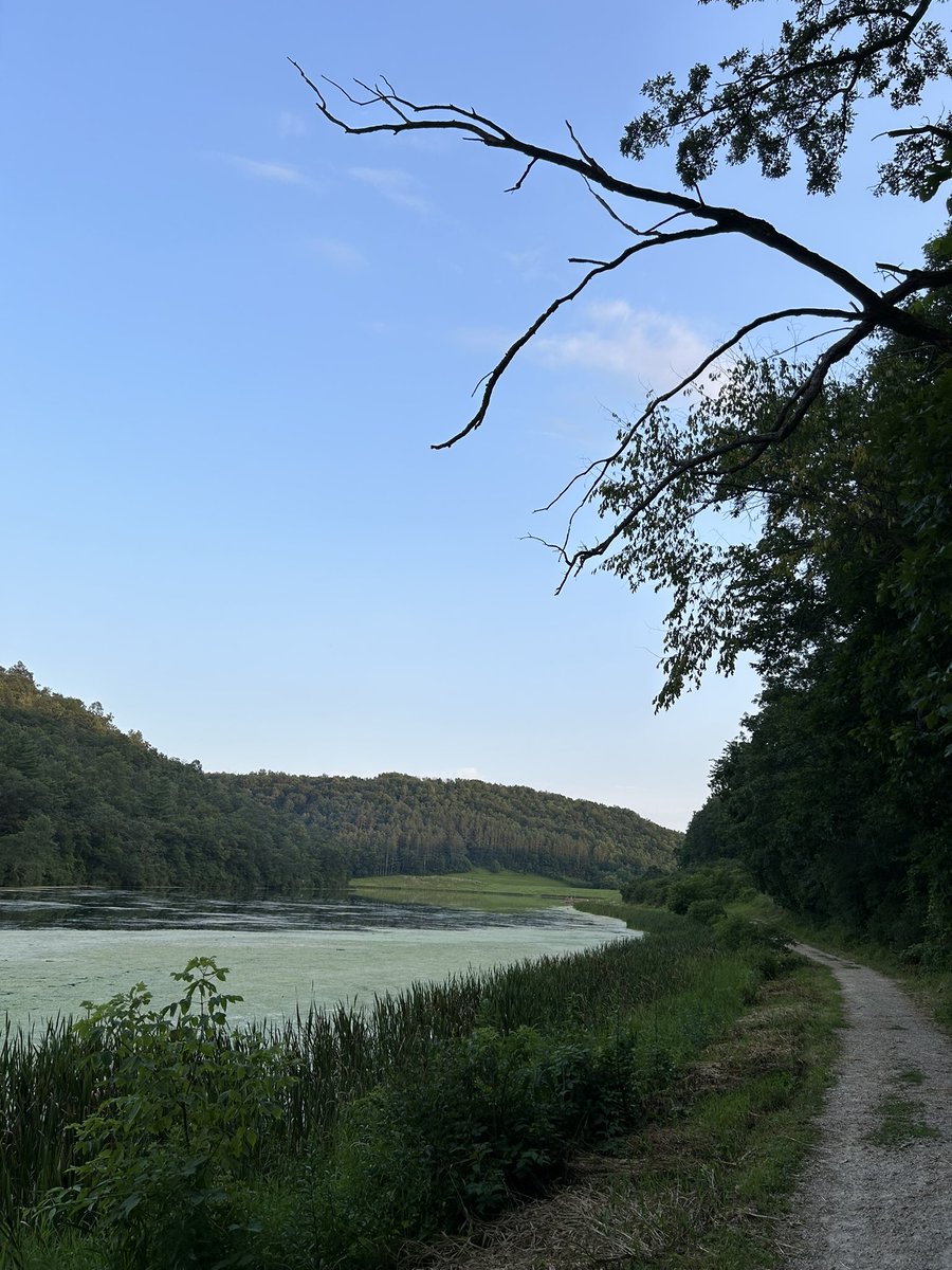 Peter BP tweet media