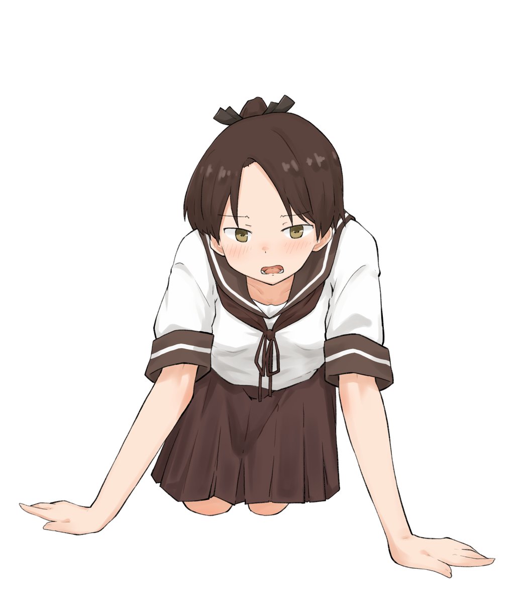 ブンブク目チャガマ科 tweet media