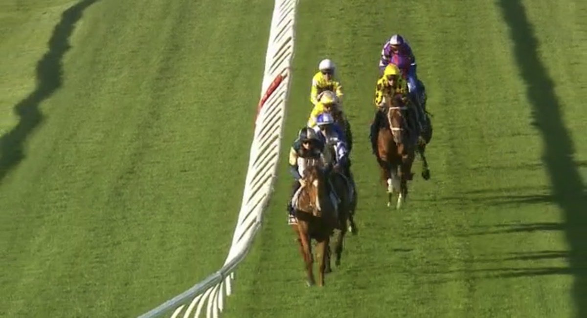 David O'Driscoll tweet media