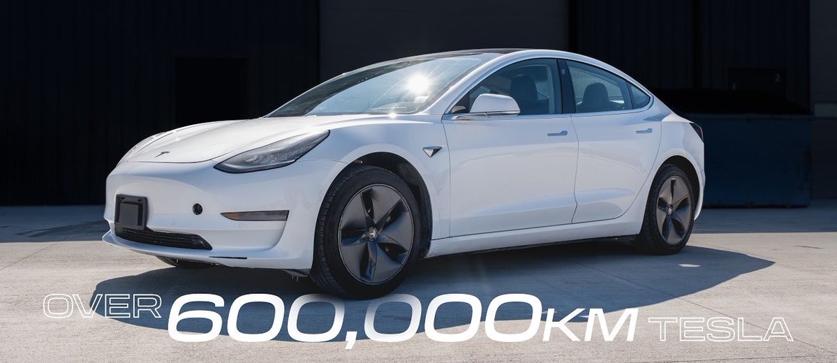 Nic Cruz Patane tweet media