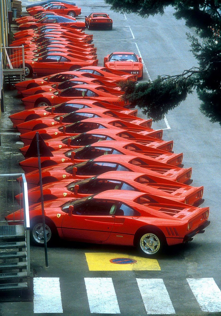 🐊🇽‌🇨‌🇱‌🇷‌🇹‌🇷‌ tweet media