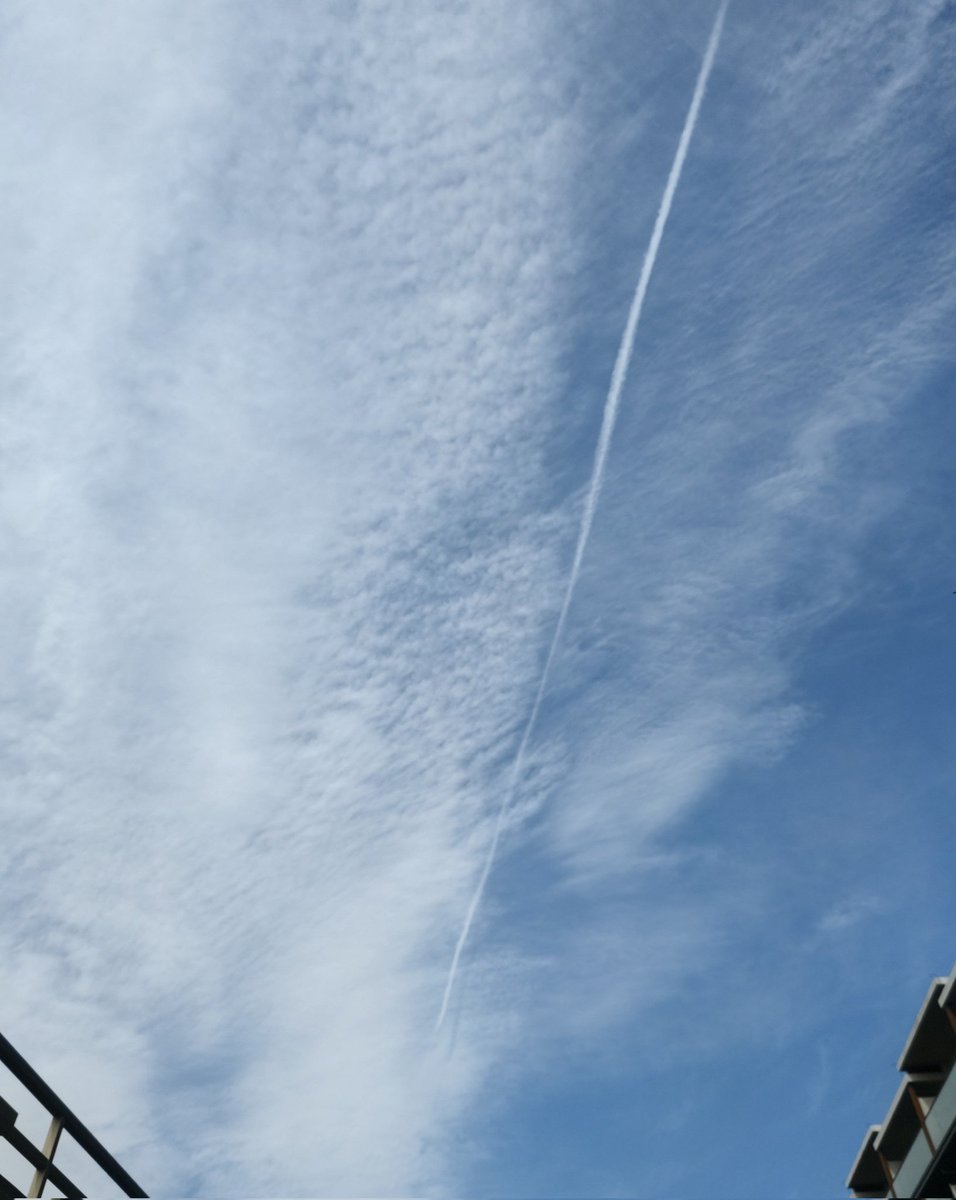 ふぃん tweet media