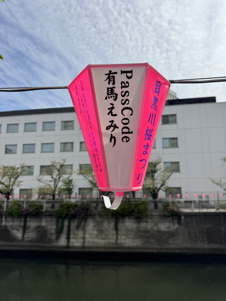 えーちゃん 🐥ひなこは唯一無二 tweet media