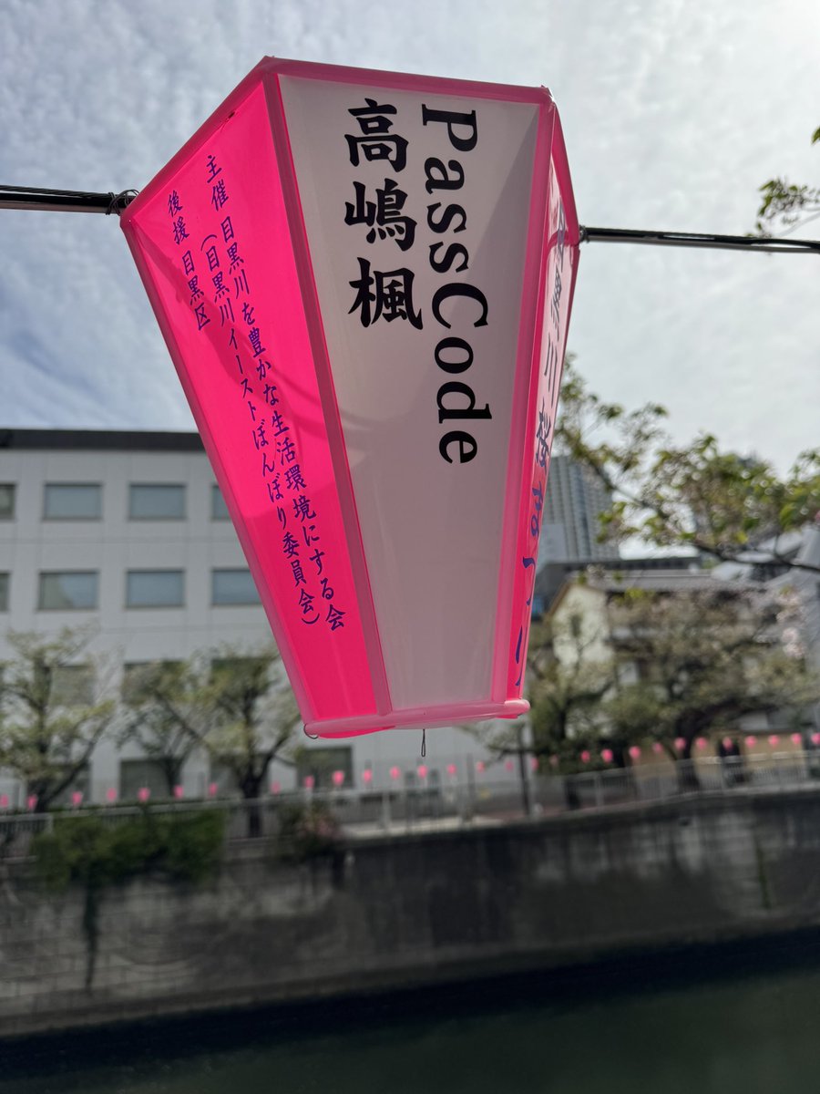 えーちゃん 🐥ひなこは唯一無二 tweet media