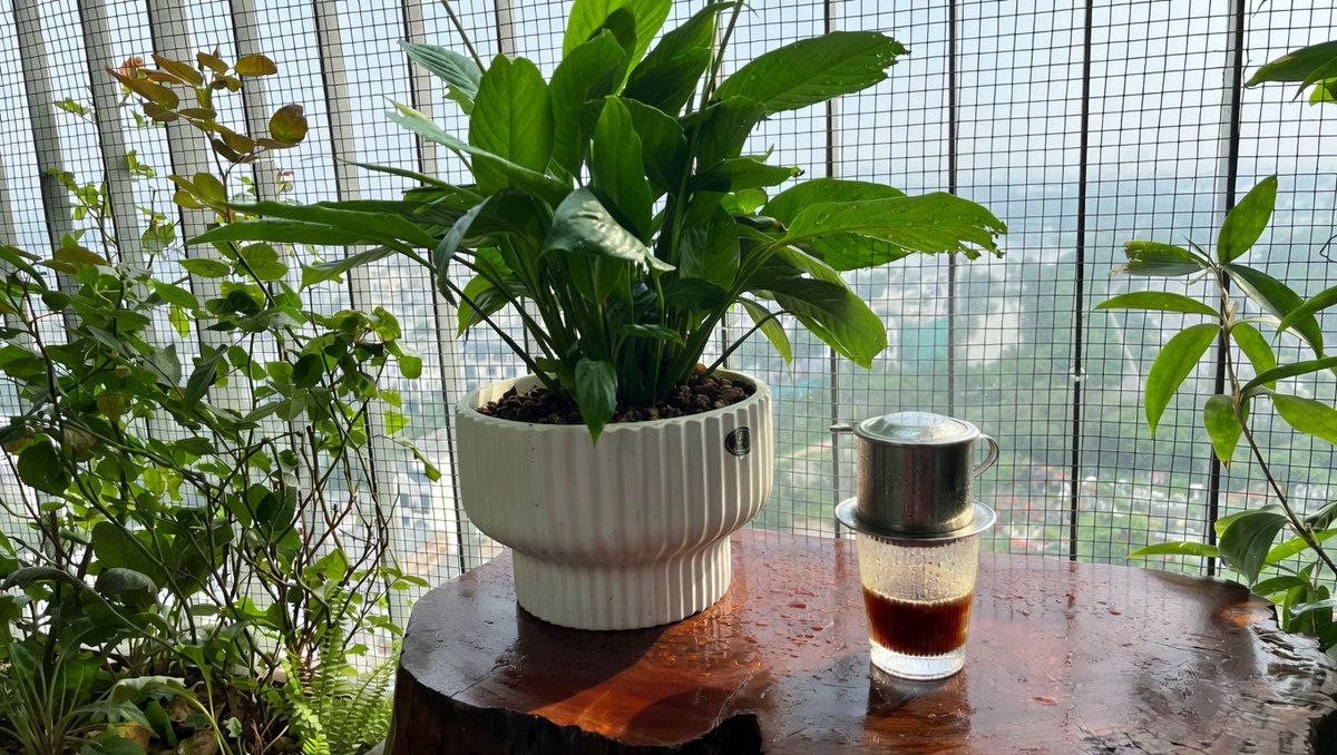 Duc Thanh | Ethan Nguyen tweet media