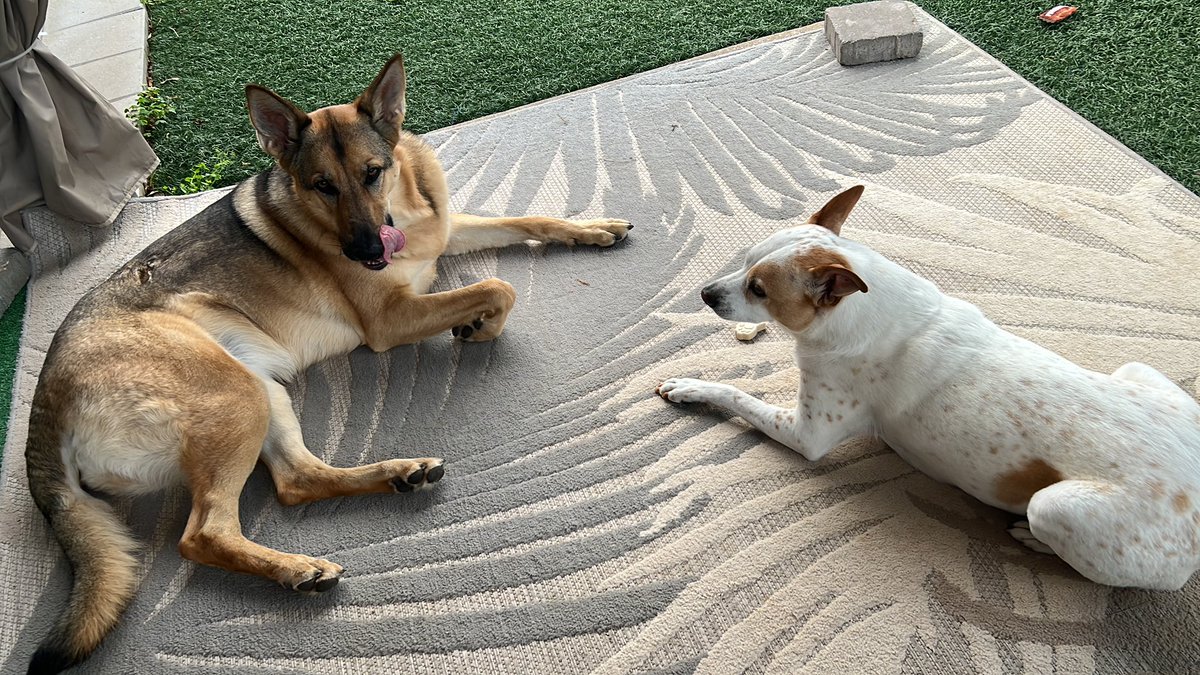 SHAY ✨🇺🇸✨ tweet media