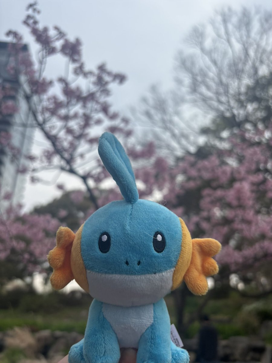 mudky 寿司 tweet media