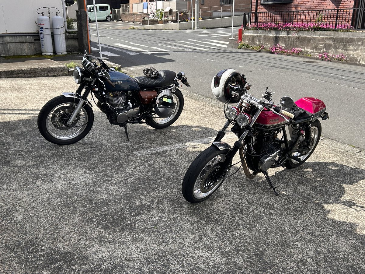 銀の猫 tweet media