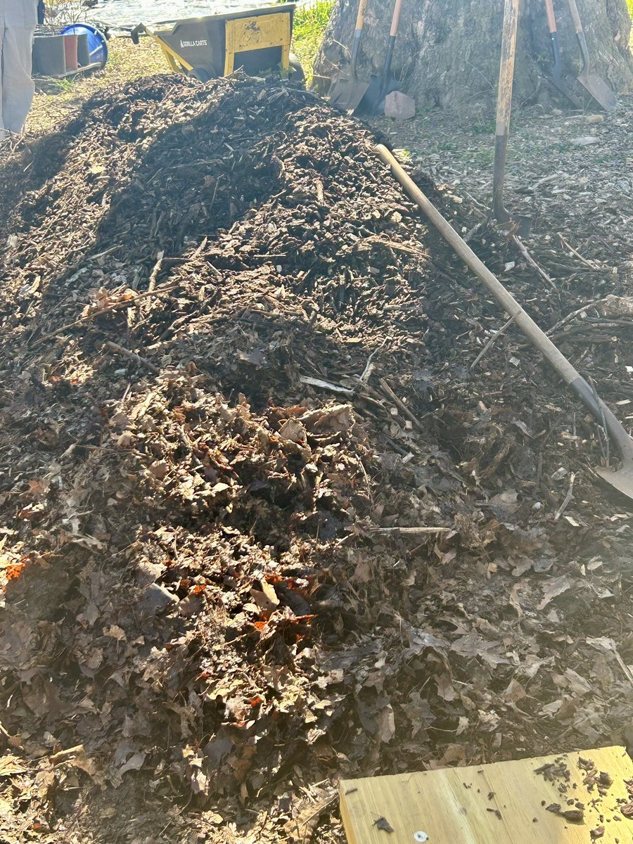 Essau1969's tweet photo. #SaturdayAfternoon #WineCap #Cultivation #Mushrooms #Fungi 👀💫 Let it Grow!! #Food 😋 https://t.co/USZAsRCghV