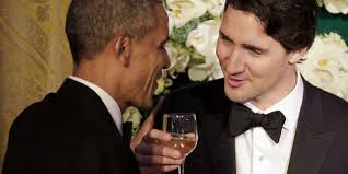 Wiserfool tweet media