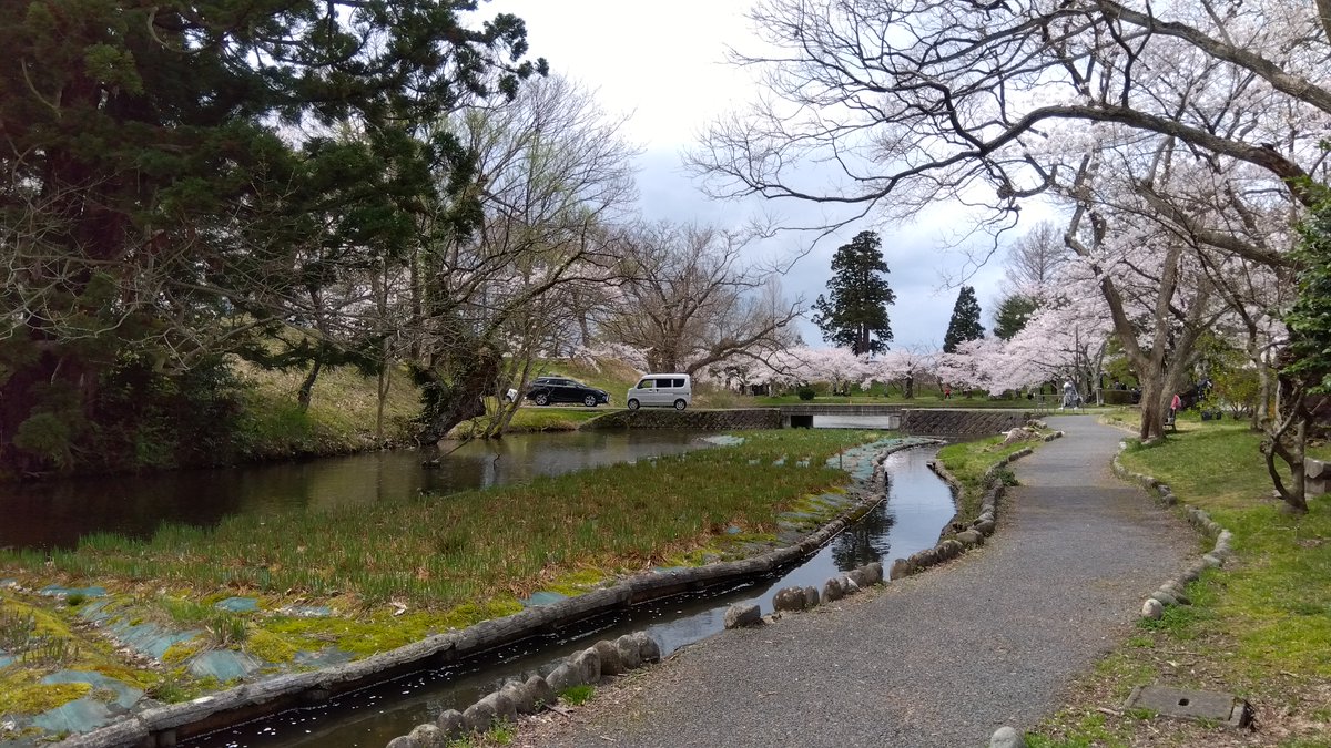 くまちゃん tweet media