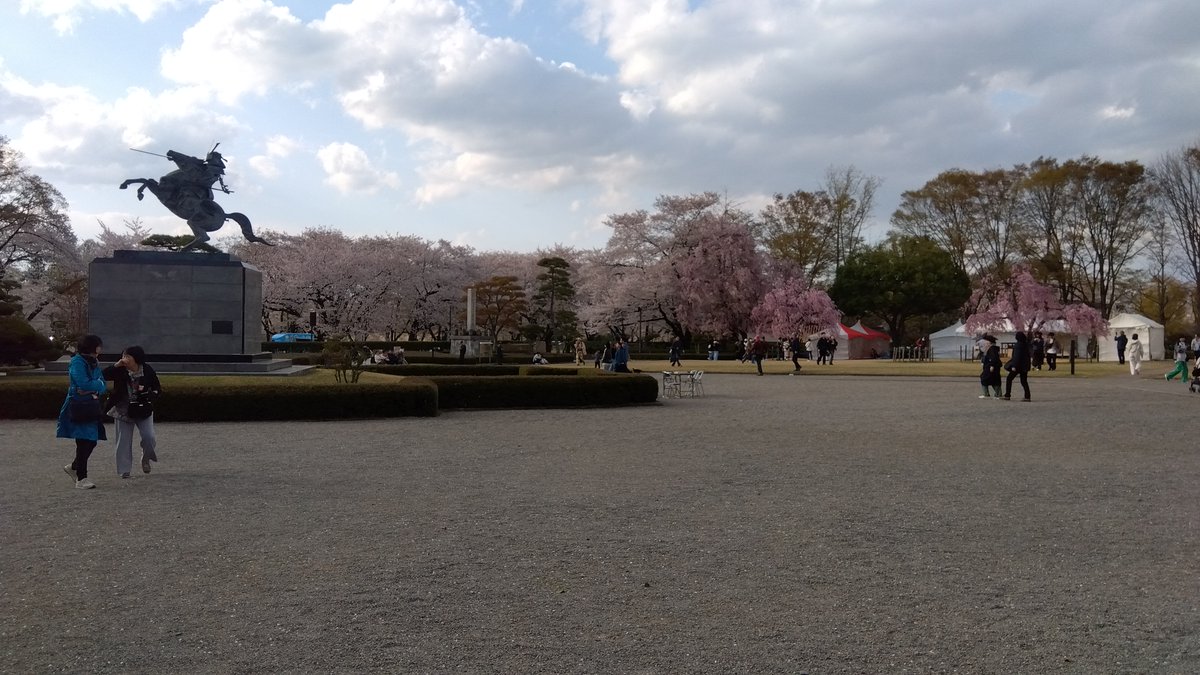 くまちゃん tweet media