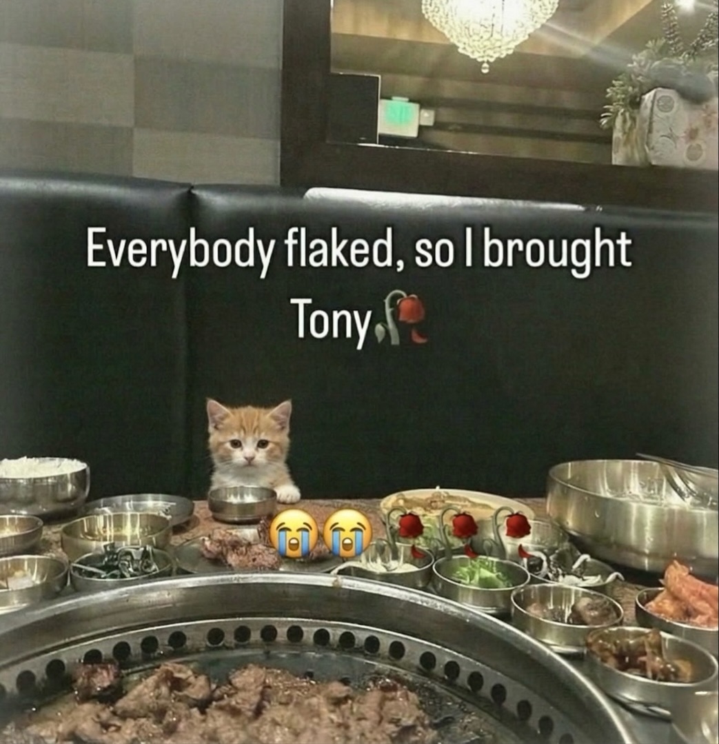 Catsillyness's tweet photo. Tony is a real one https://t.co/kprHmMffId