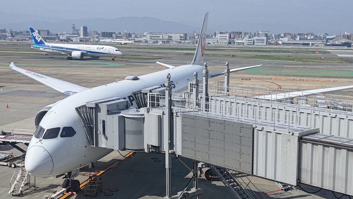 たまねNanphy tweet media