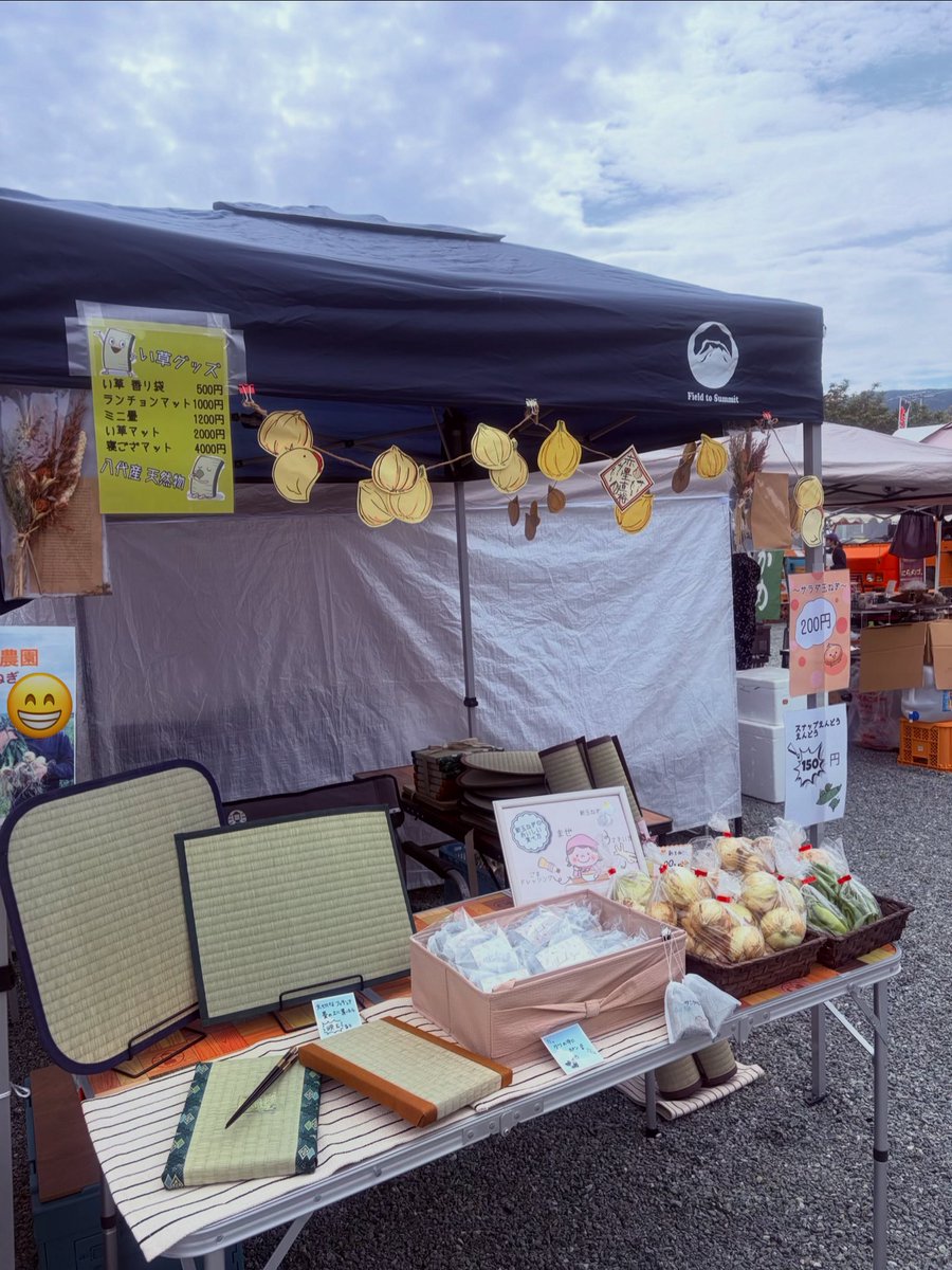 レッドスター tweet media