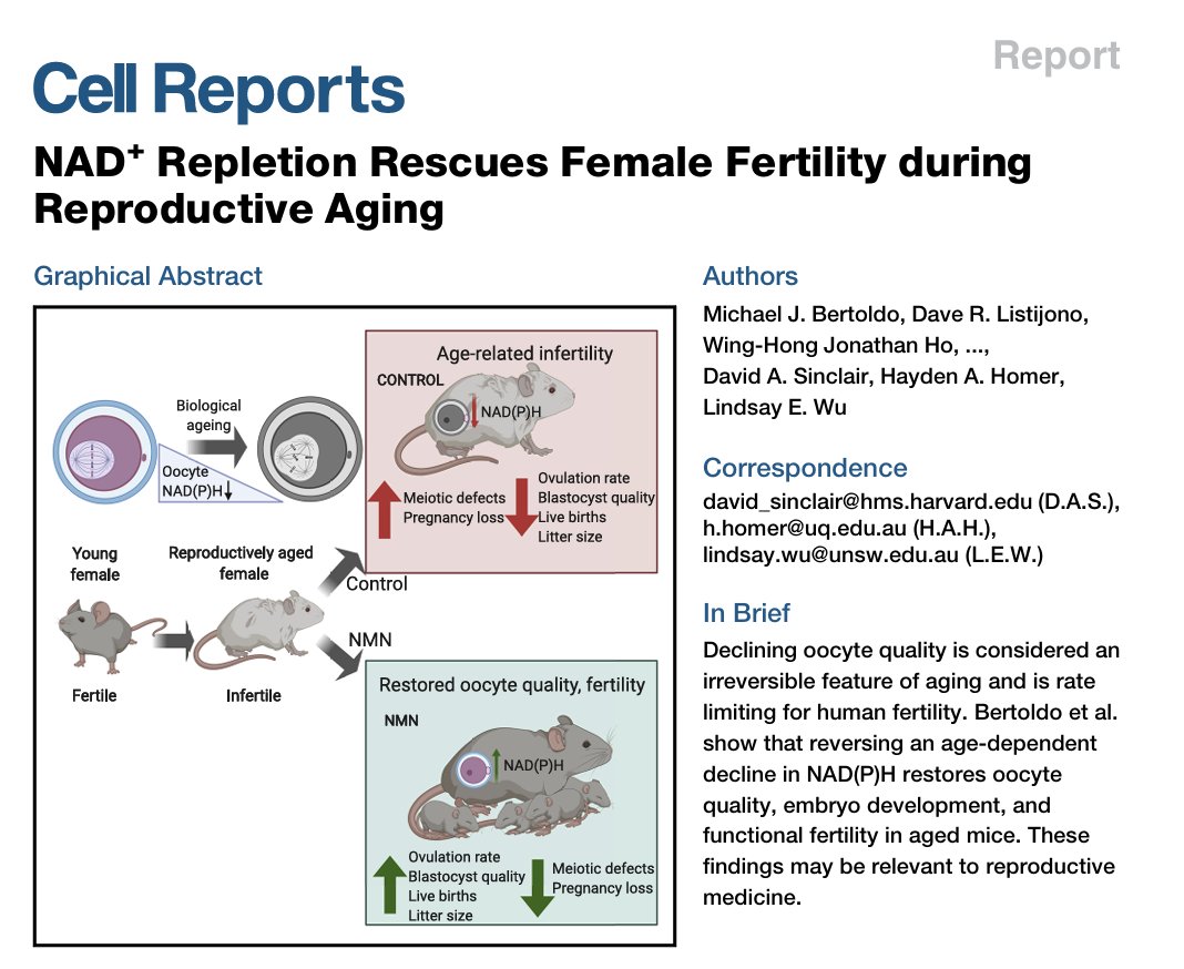 David Sinclair tweet media