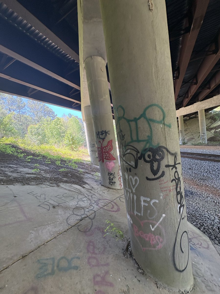 tytostupid's tweet photo. More pictures from my walk today im not sure if they help or not rn but we will see where this goes #nature #lifeseries #alone https://t.co/aPBwkJ2uA6