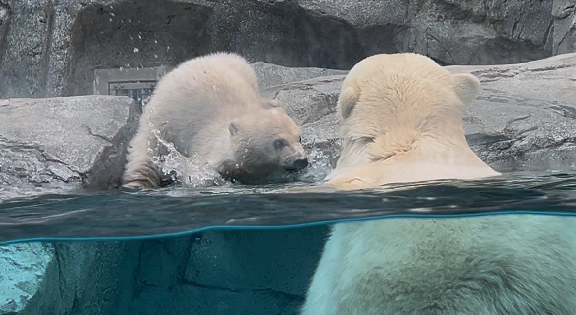 sumihotaru tweet media