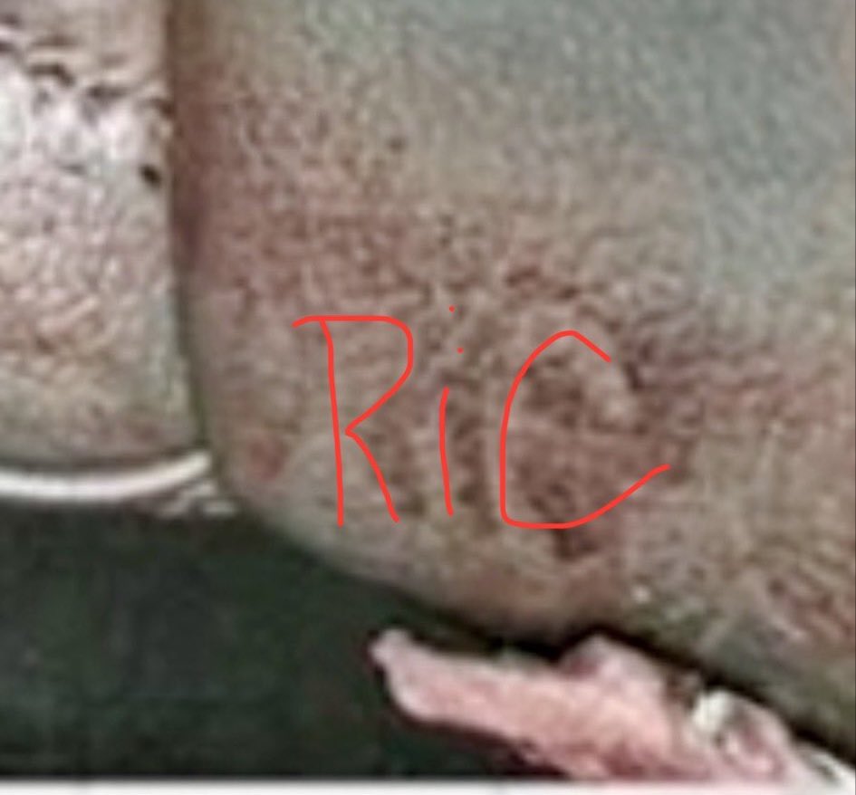 Alley Files tweet media